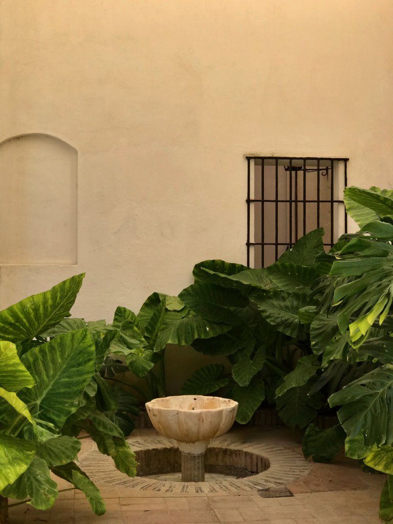 Fountain at the Alcazar. 