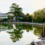 Peaceful pond in Nara surrounded by tall green trees and a walking path with visitors enjoying the scenery during a Nara day trip. The still water reflects the trees, stone walkway, and nearby buildings under a soft evening sky.