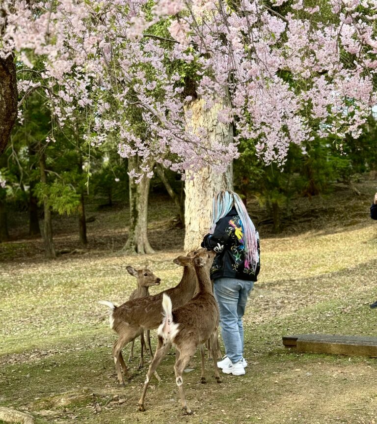 Chloe’s Guide to Planning a Day Trip to Nara