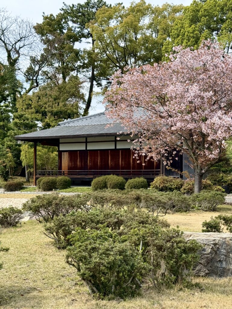 View of a house with cherry blossoms.