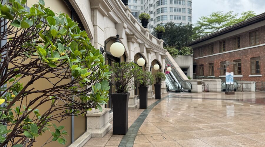 A polished courtyard at 1881 Heritage lined with trimmed potted shrubs and classic round lanterns, leading to escalators and surrounded by colonial and modern buildings. The wet pavement hints at recent rain, offering a quiet pause in one day in Hong Kong.