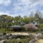 Traditional Japanese garden in Kyoto featuring a reflective pond, carefully placed stone formations, manicured trees, and a wooden pavilion surrounded by spring greenery. Exploring scenic gardens like this is easy when getting around Kyoto using the city’s buses, trains, and walking routes between major cultural attractions.