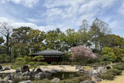 Traditional Japanese garden in Kyoto featuring a reflective pond, carefully placed stone formations, manicured trees, and a wooden pavilion surrounded by spring greenery. Exploring scenic gardens like this is easy when getting around Kyoto using the city’s buses, trains, and walking routes between major cultural attractions.