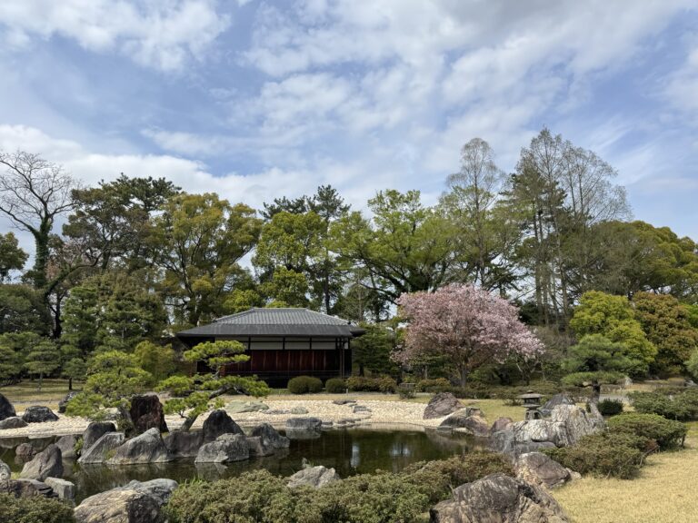 Traditional Japanese garden in Kyoto featuring a reflective pond, carefully placed stone formations, manicured trees, and a wooden pavilion surrounded by spring greenery. Exploring scenic gardens like this is easy when getting around Kyoto using the city’s buses, trains, and walking routes between major cultural attractions.
