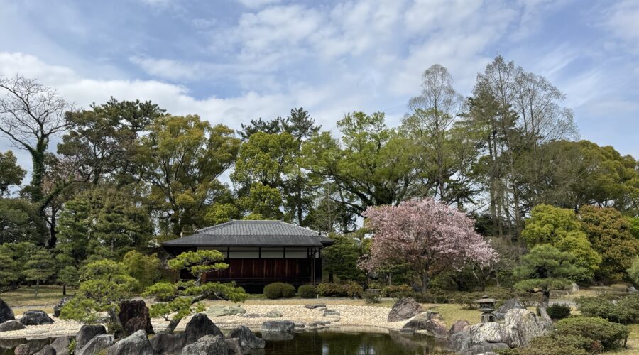 Traditional Japanese garden in Kyoto featuring a reflective pond, carefully placed stone formations, manicured trees, and a wooden pavilion surrounded by spring greenery. Exploring scenic gardens like this is easy when getting around Kyoto using the city’s buses, trains, and walking routes between major cultural attractions.